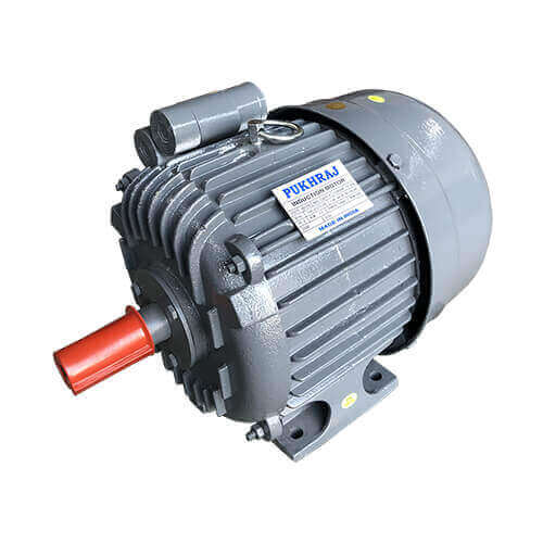 Flour Mill - Electric Motor